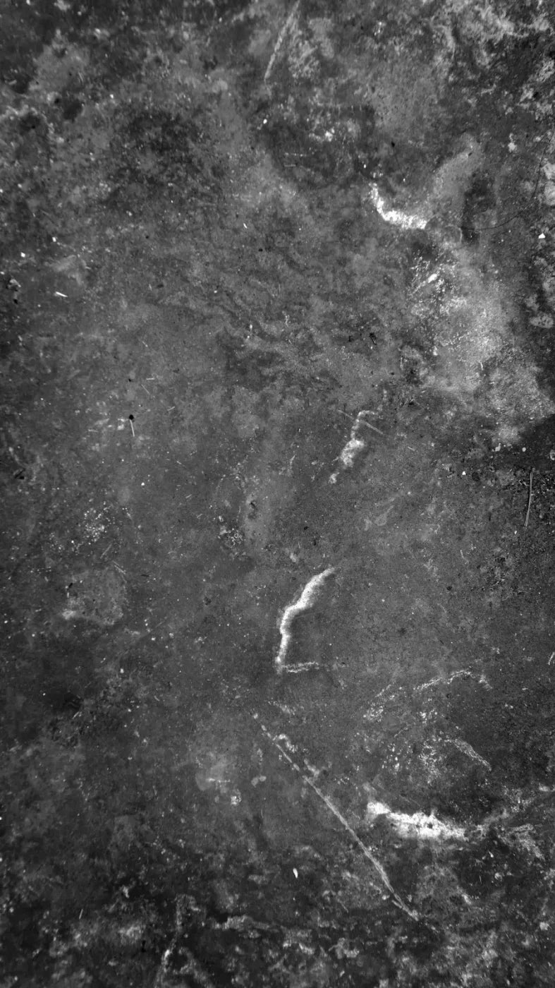 Midnight Copper 8X14 Ultracloth ( 96 X 168 Inch ) Backdrop