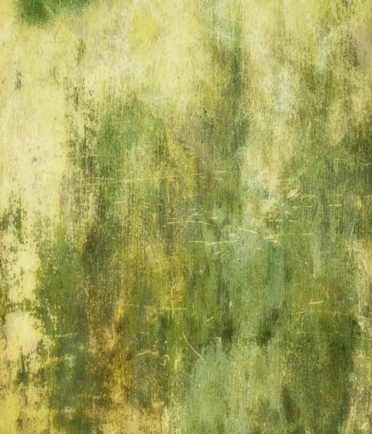 Midori 10X12 Ultracloth ( 120 X 144 Inch ) Backdrop