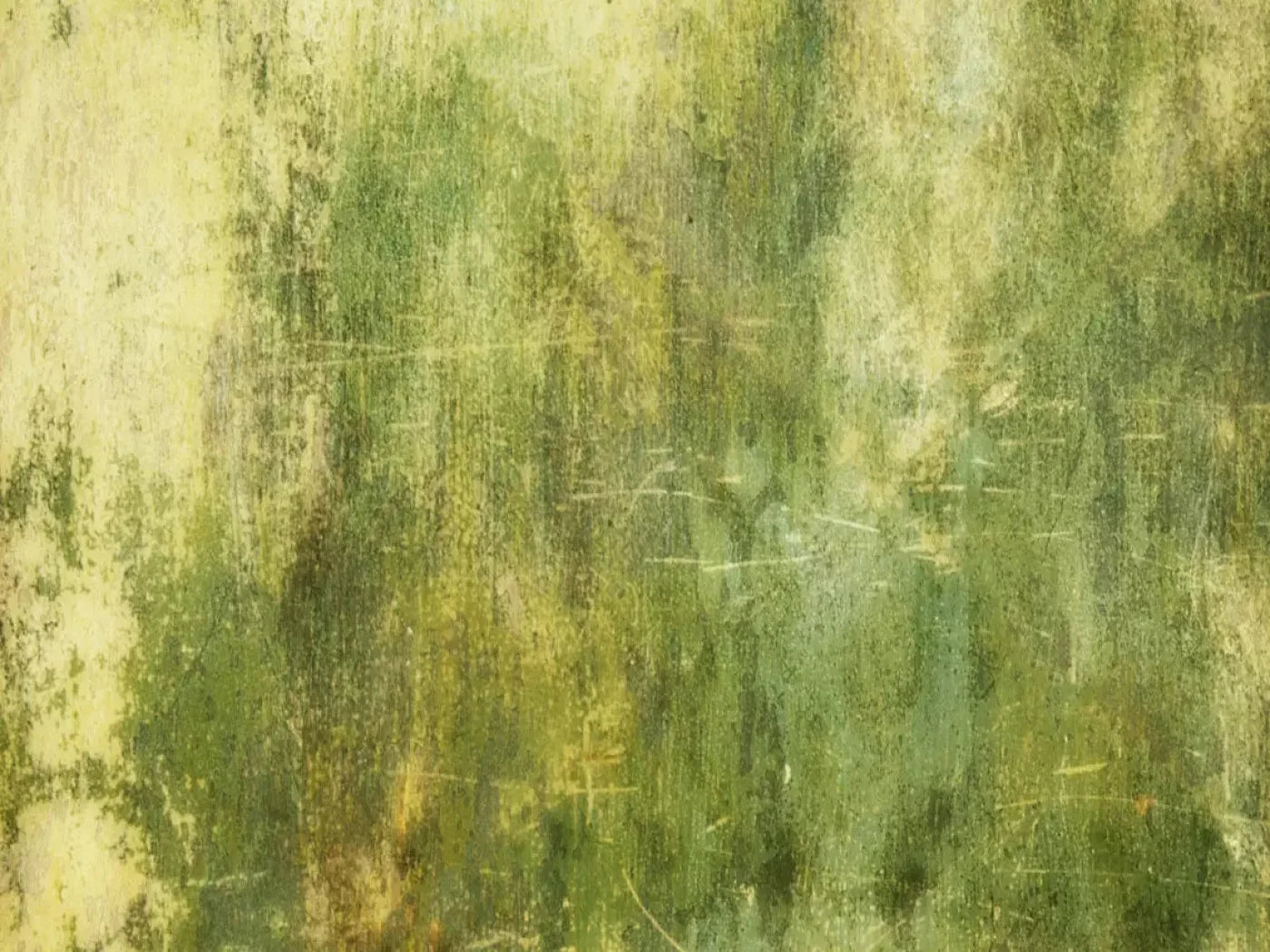 Midori 10X8 Fleece ( 120 X 96 Inch ) Backdrop