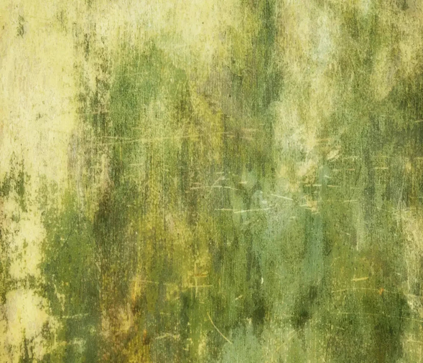 Midori 12X10 Ultracloth ( 144 X 120 Inch ) Backdrop