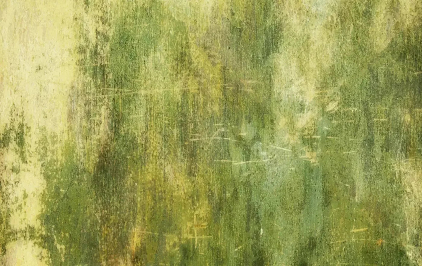 Midori 16X10 Ultracloth ( 192 X 120 Inch ) Backdrop