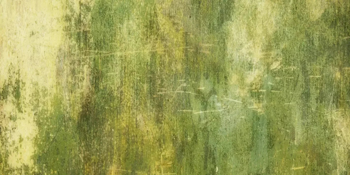 Midori 20X10 Ultracloth ( 240 X 120 Inch ) Backdrop