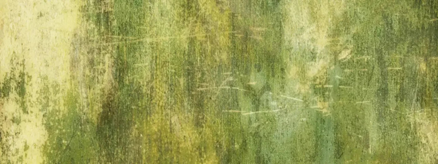 Midori 20X8 Ultracloth ( 240 X 96 Inch ) Backdrop