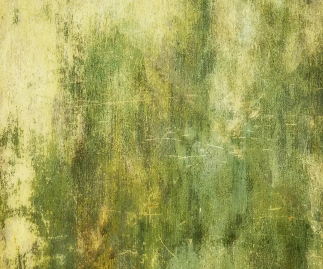 Midori 5X42 Fleece ( 60 X 50 Inch ) Backdrop