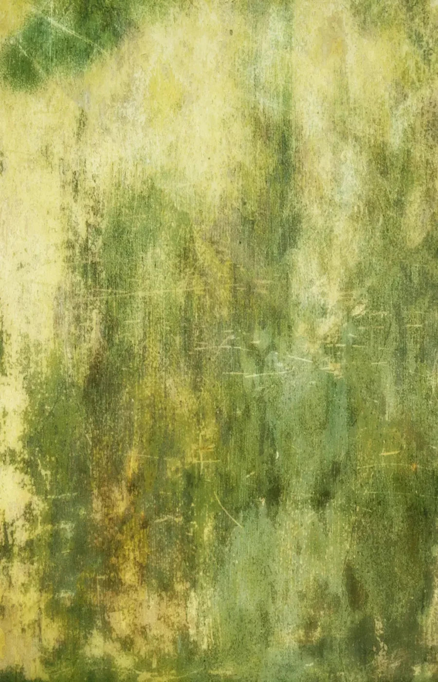 Midori 8X12 Ultracloth ( 96 X 144 Inch ) Backdrop
