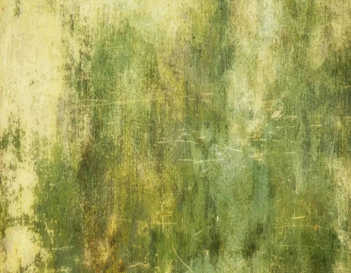 Midori 8X6 Fleece ( 96 X 72 Inch ) Backdrop