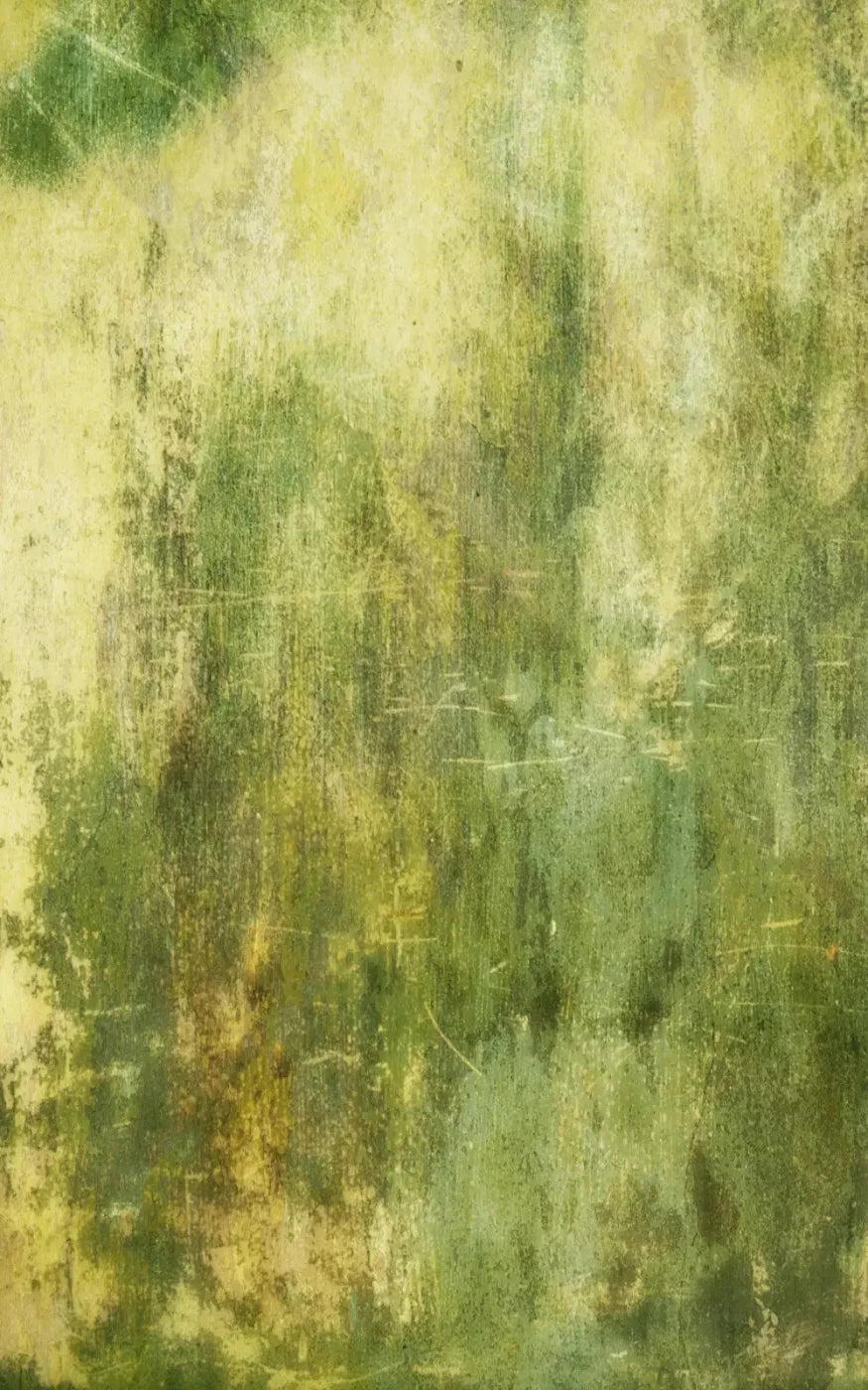 Midori 9X14 Ultracloth ( 108 X 168 Inch ) Backdrop