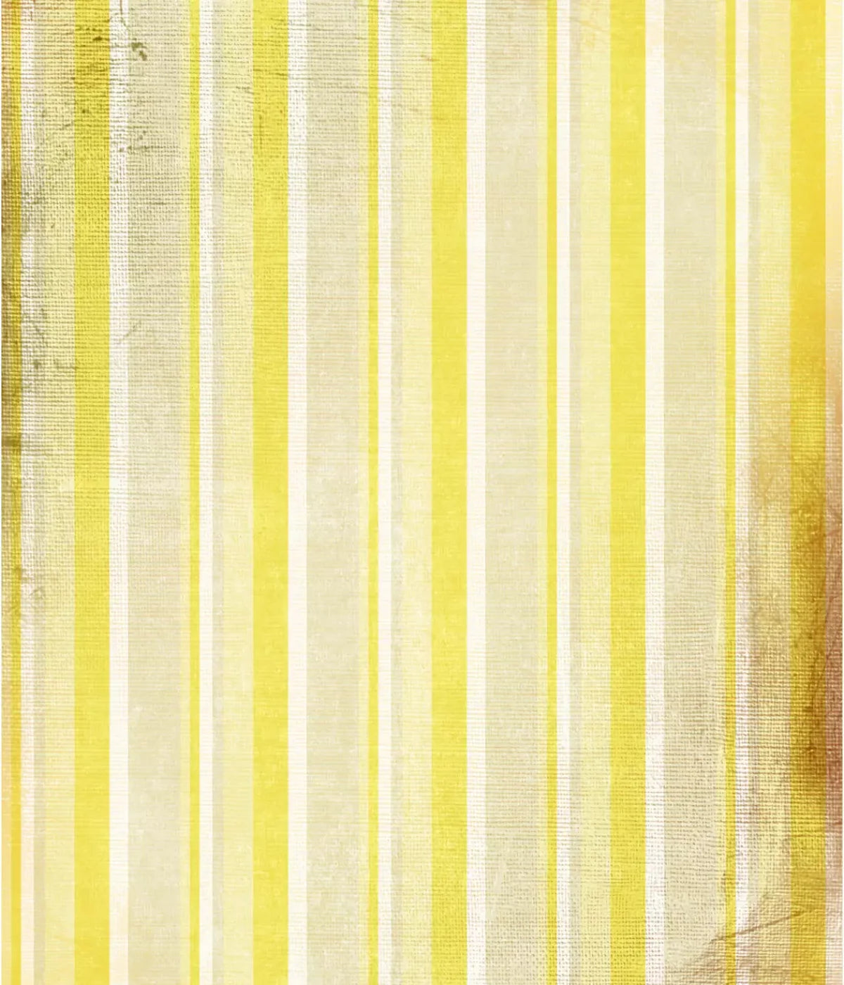 Mikado 10X12 Ultracloth ( 120 X 144 Inch ) Backdrop