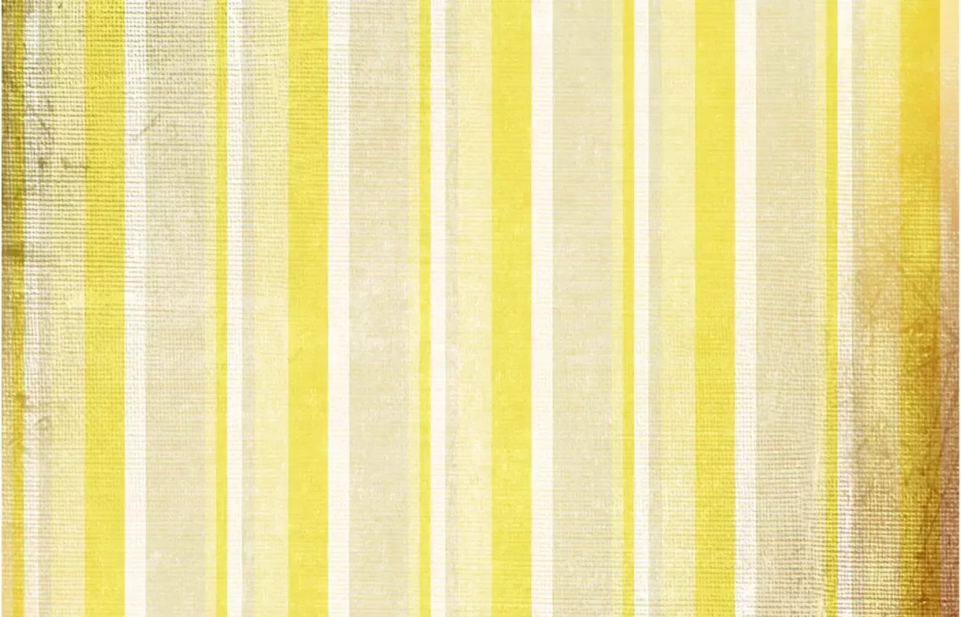 Mikado 12X8 Ultracloth ( 144 X 96 Inch ) Backdrop