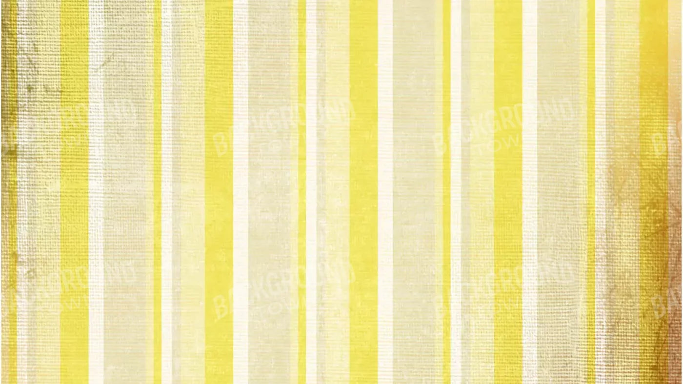 Mikado 14X8 Ultracloth ( 168 X 96 Inch ) Backdrop