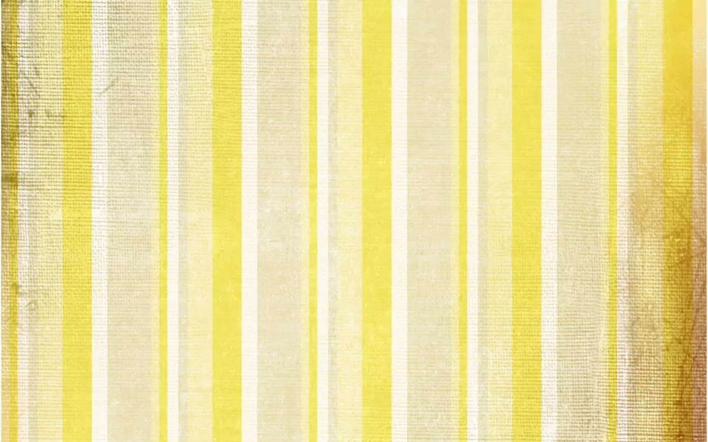Mikado 14X9 Ultracloth ( 168 X 108 Inch ) Backdrop