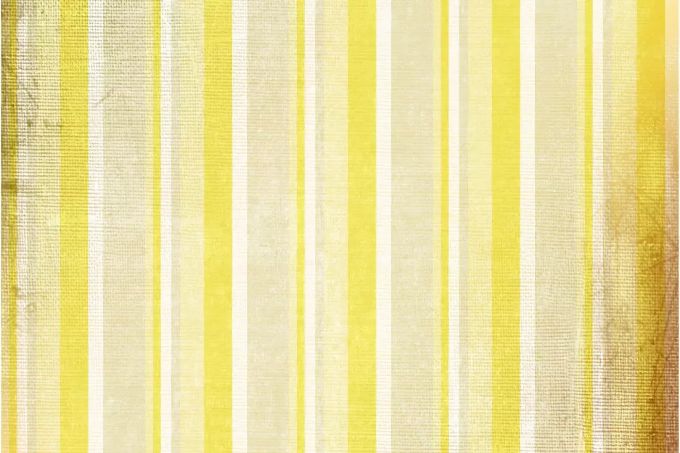 Mikado 8X5 Ultracloth ( 96 X 60 Inch ) Backdrop