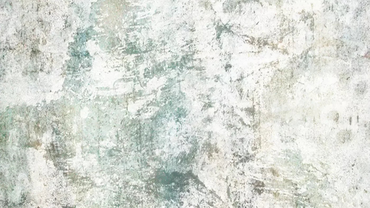 Mild 14X8 Ultracloth ( 168 X 96 Inch ) Backdrop