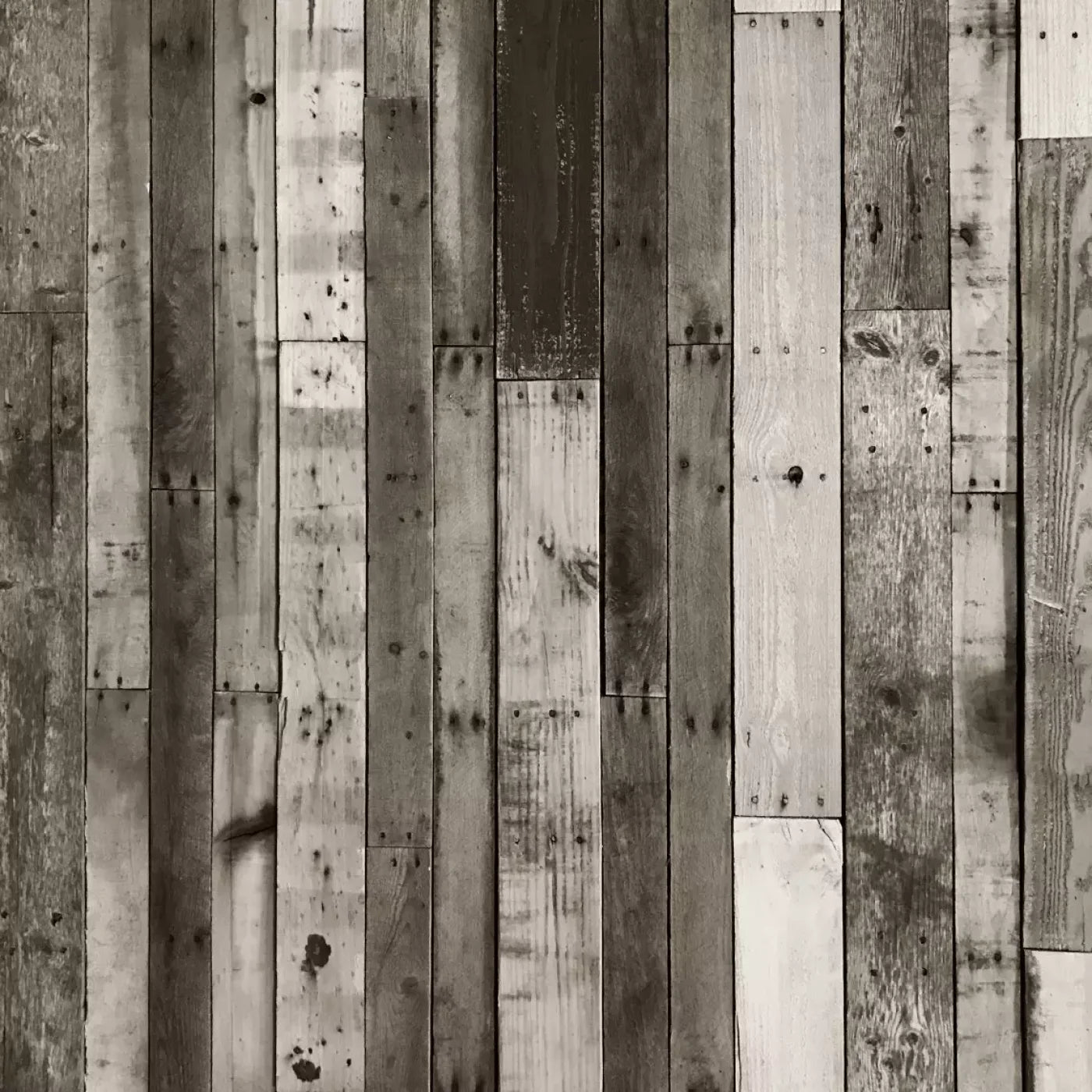 Minnesota 10X10 Ultracloth ( 120 X Inch ) Backdrop