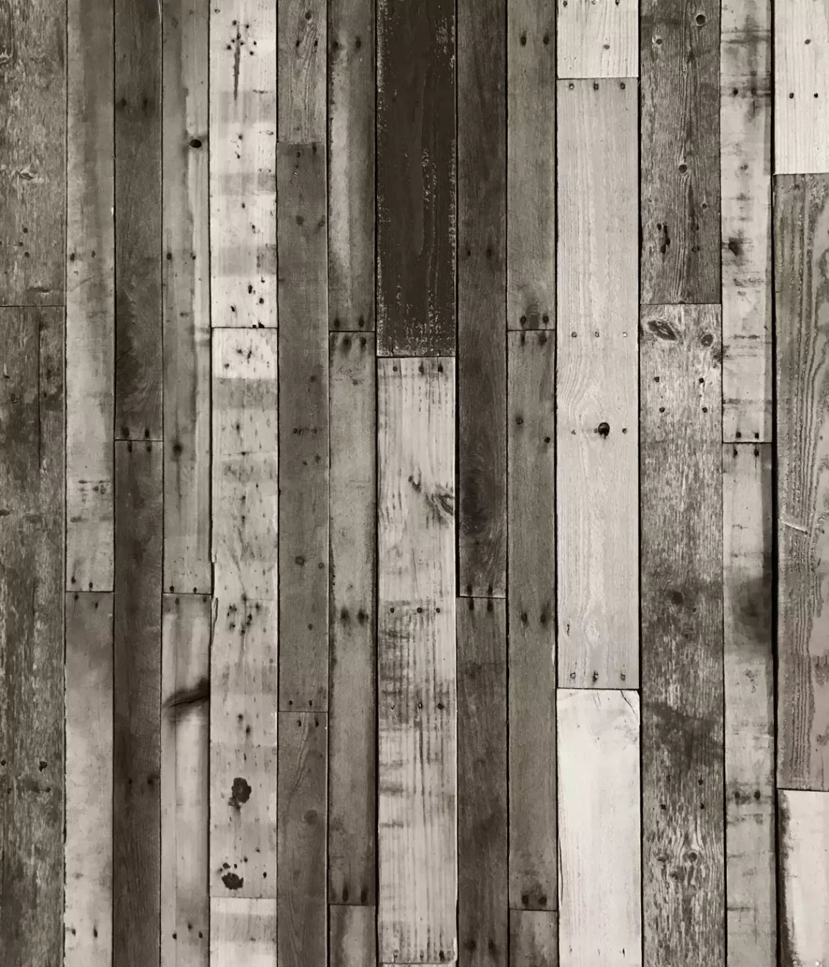 Minnesota 10X12 Ultracloth ( 120 X 144 Inch ) Backdrop