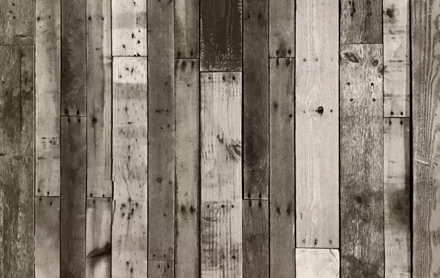 Minnesota 16X10 Ultracloth ( 192 X 120 Inch ) Backdrop