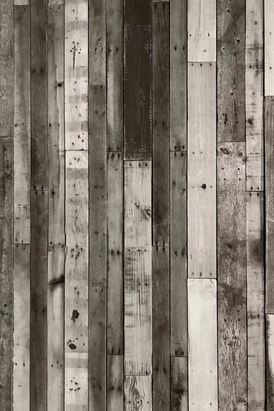 Minnesota 5X8 Ultracloth ( 60 X 96 Inch ) Backdrop