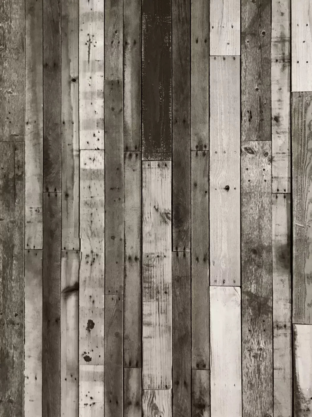 Minnesota 8X10 Fleece ( 96 X 120 Inch ) Backdrop