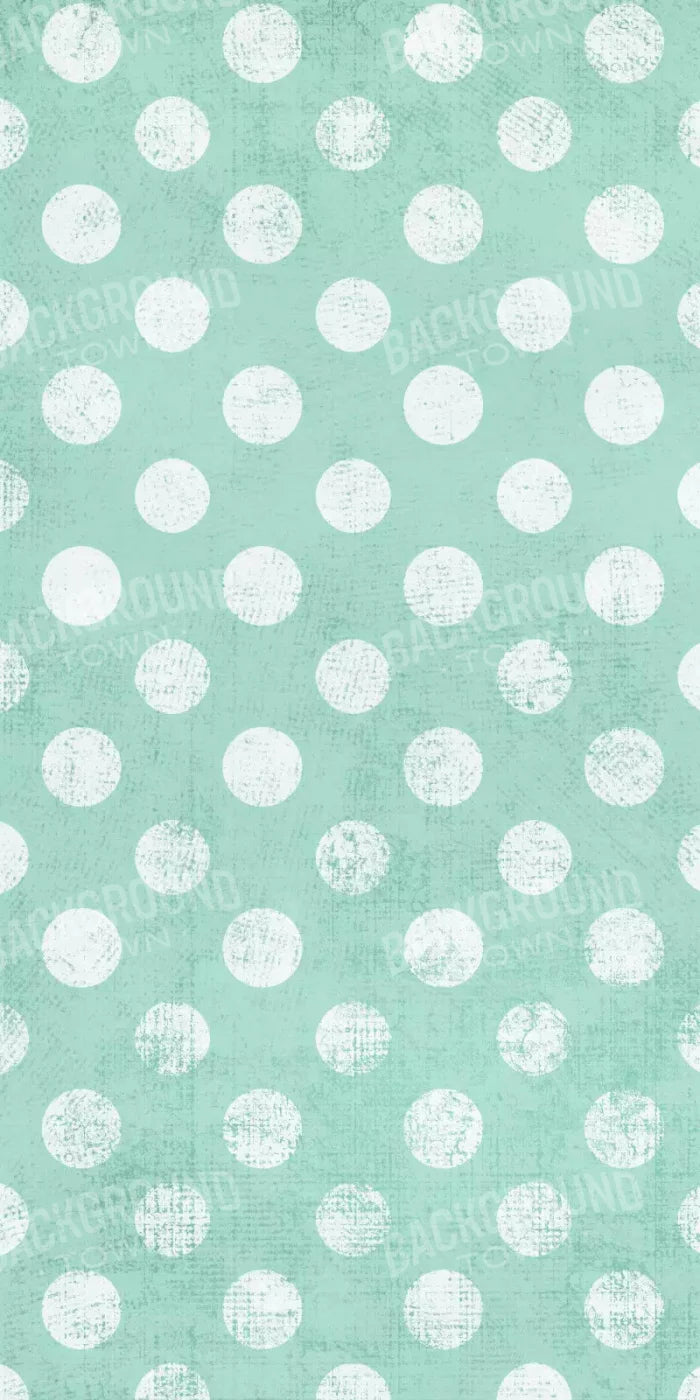 Mint To Be 10X20 Ultracloth ( 120 X 240 Inch ) Backdrop