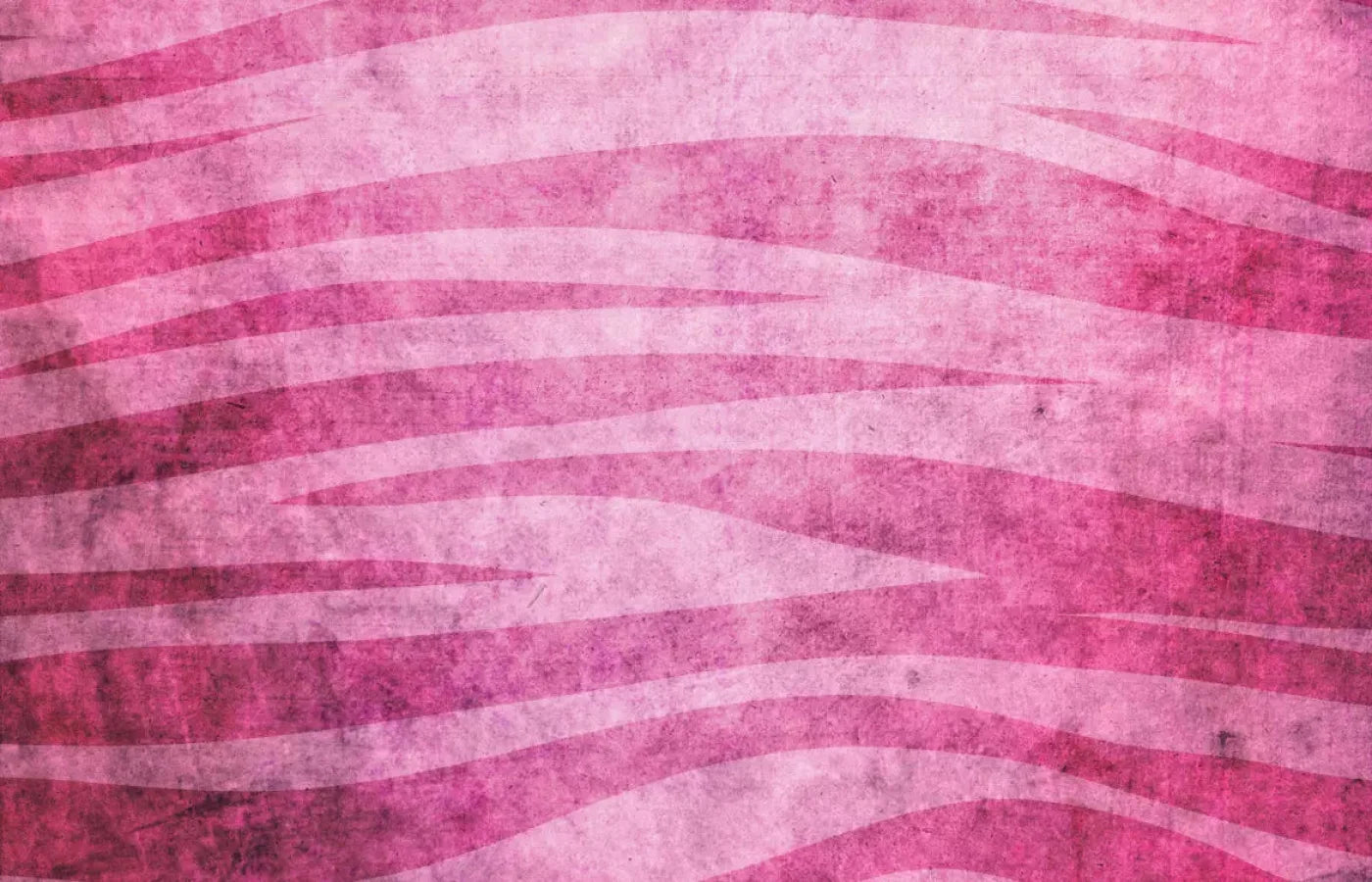 Miss Zebra 12X8 Ultracloth ( 144 X 96 Inch ) Backdrop