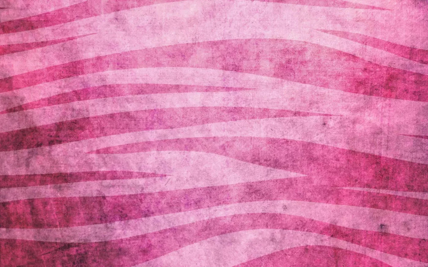 Miss Zebra 14X9 Ultracloth ( 168 X 108 Inch ) Backdrop