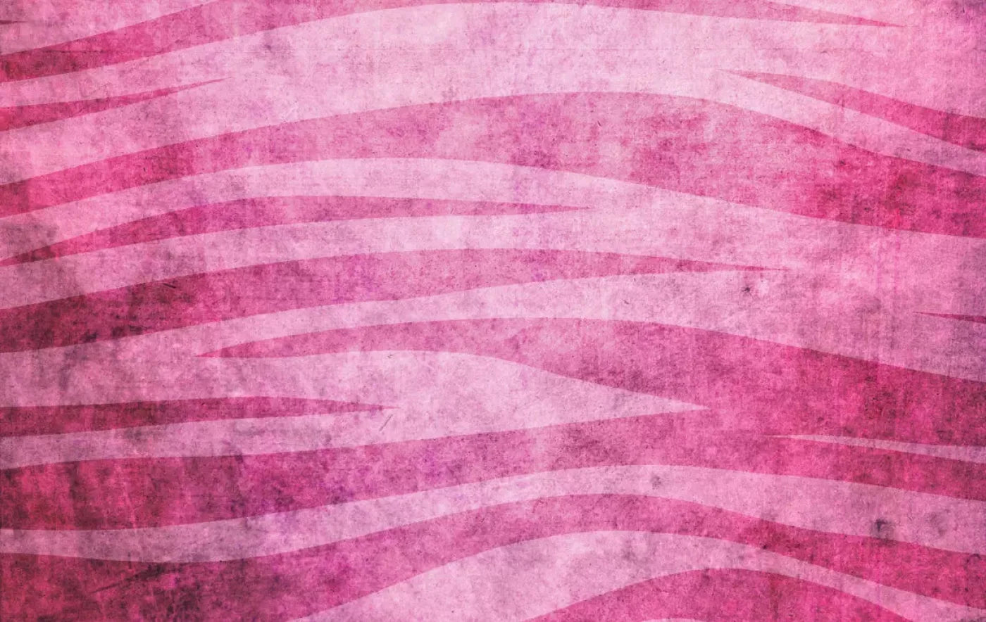 Miss Zebra 16X10 Ultracloth ( 192 X 120 Inch ) Backdrop