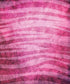 Pink Pattern Backdrop for Photography