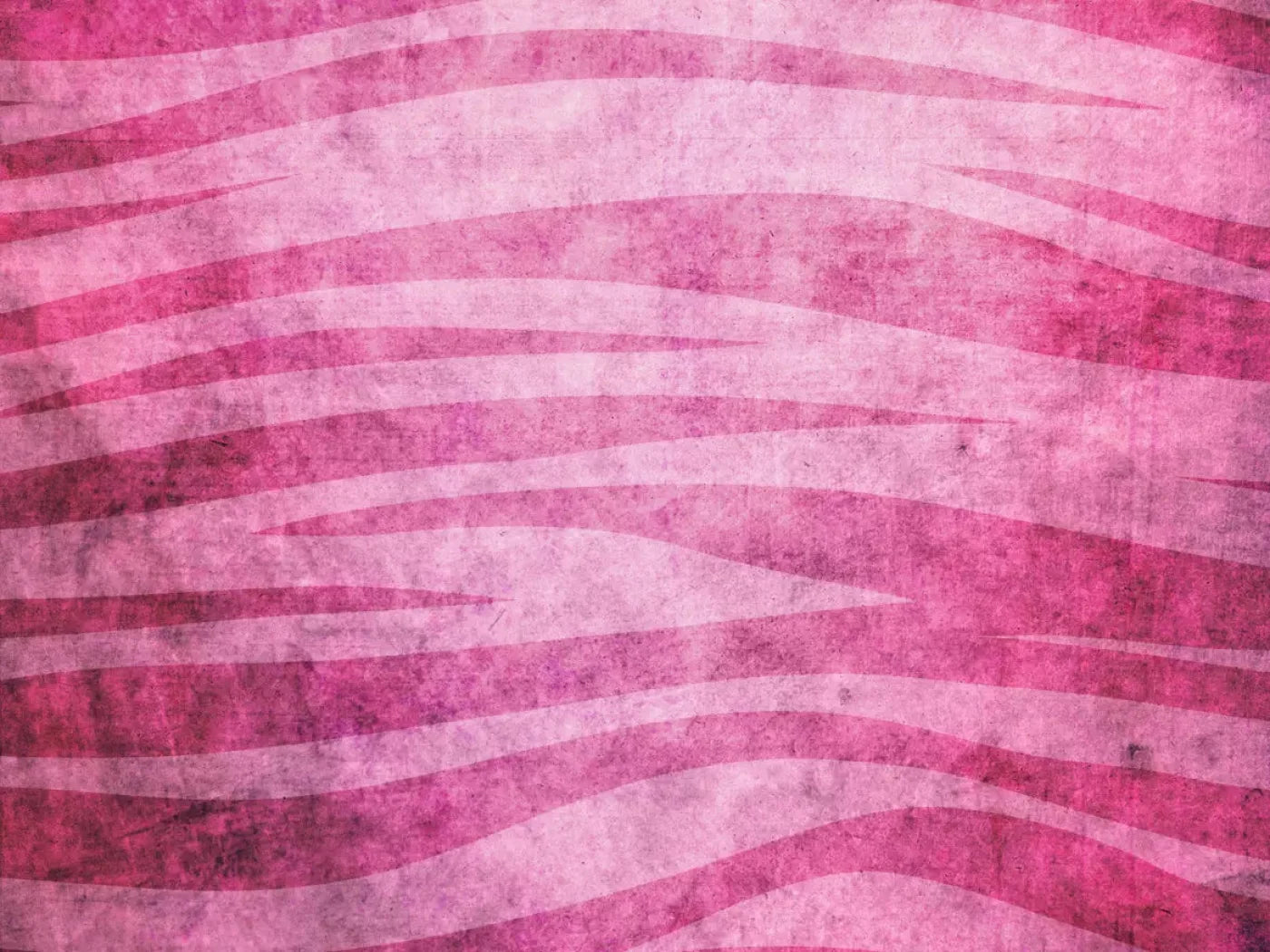 Miss Zebra 68X5 Fleece ( 80 X 60 Inch ) Backdrop