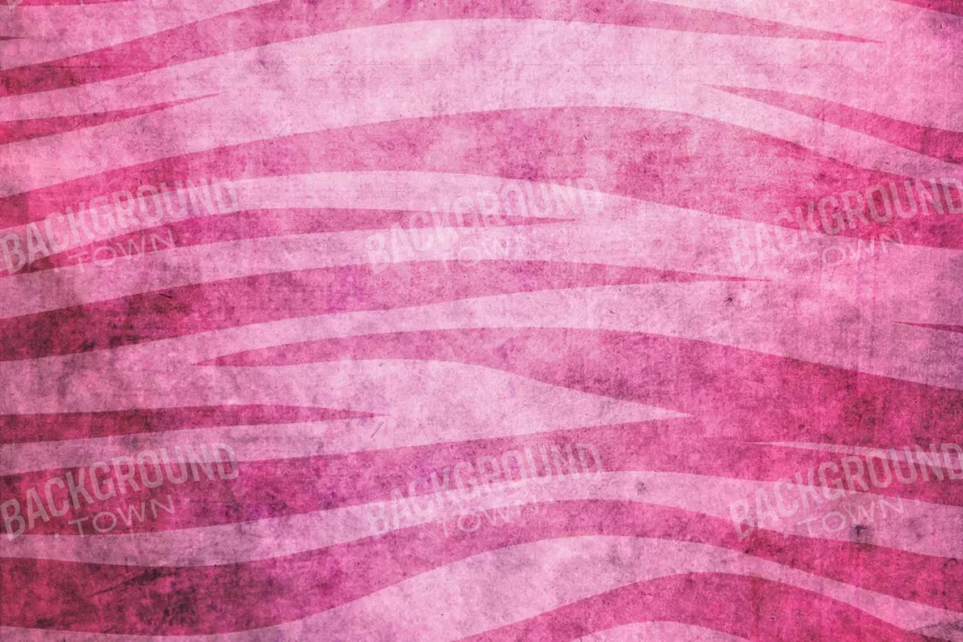 Miss Zebra 8X5 Ultracloth ( 96 X 60 Inch ) Backdrop