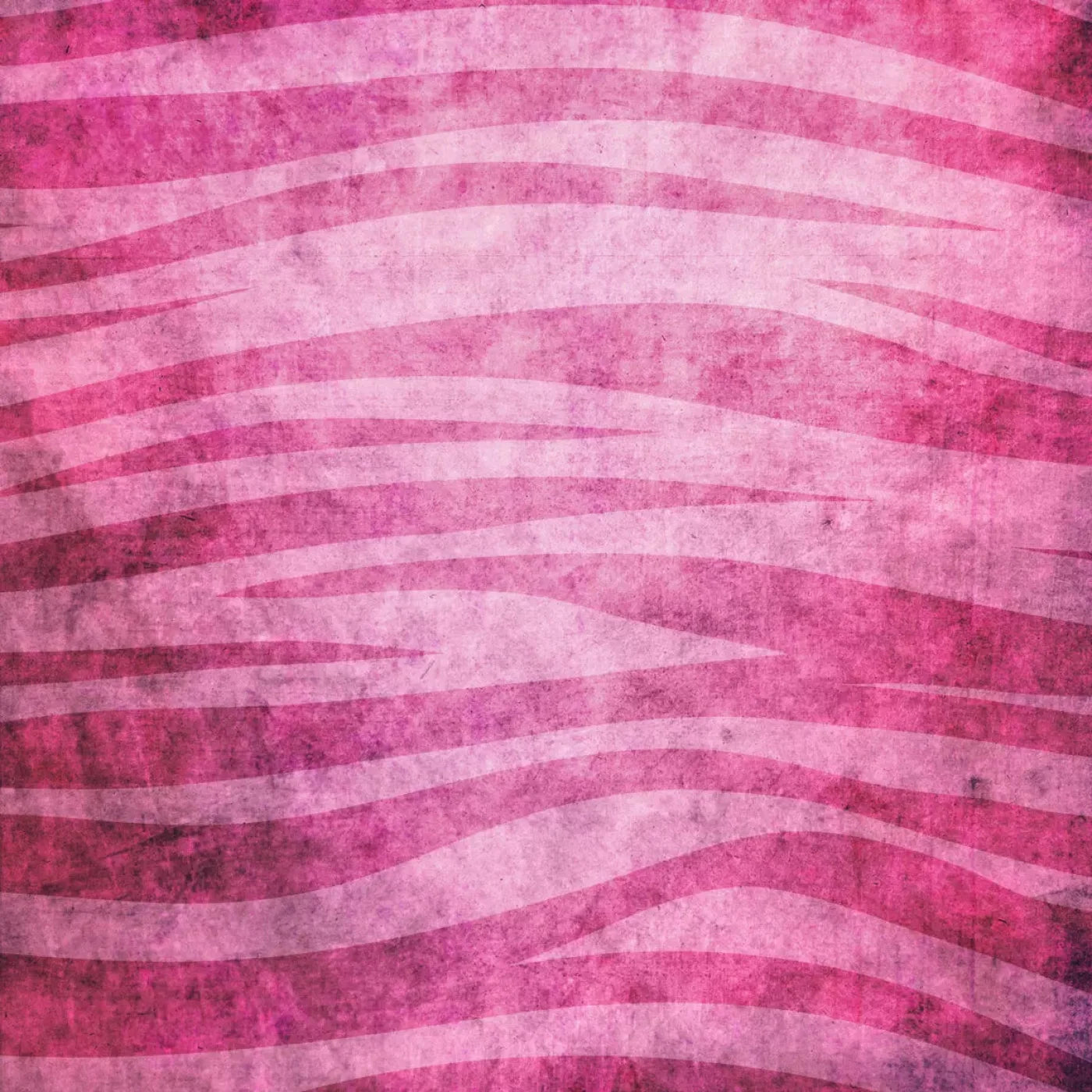 Miss Zebra 8X8 Fleece ( 96 X Inch ) Backdrop