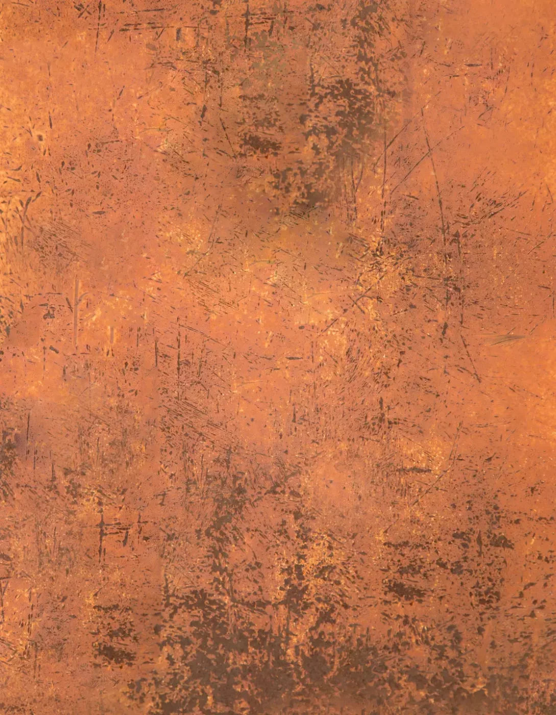 Moab Grunge 6X8 Fleece ( 72 X 96 Inch ) Backdrop