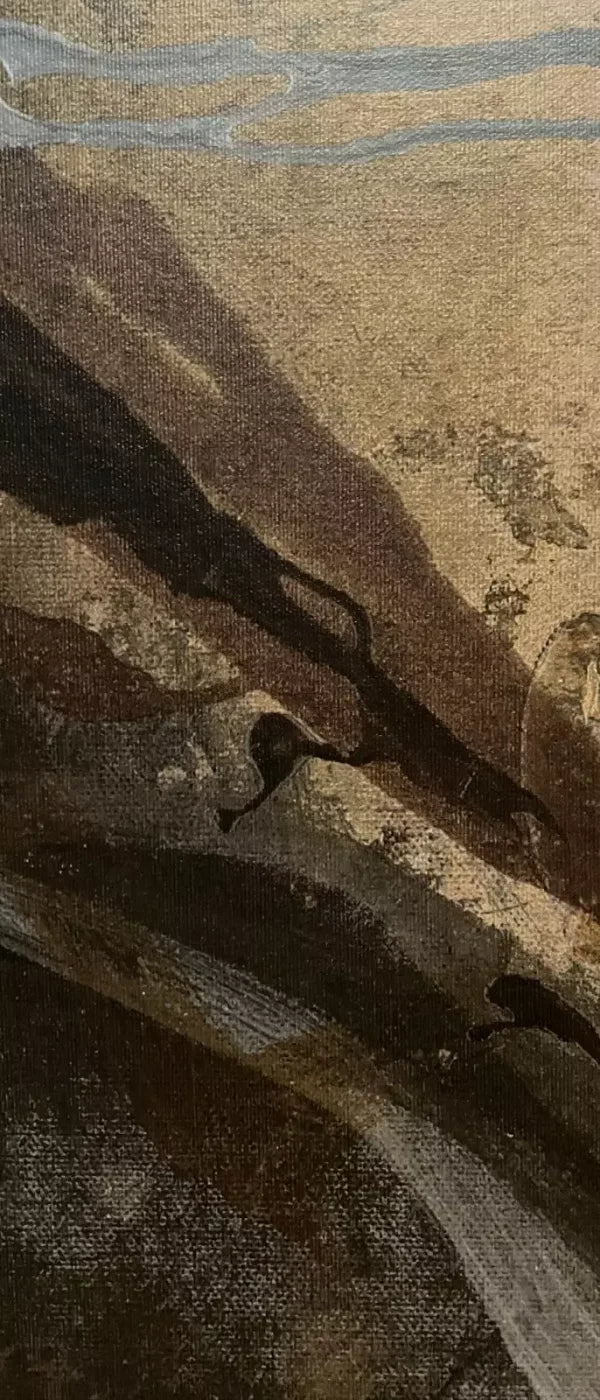 Mocha Texture 5X12 Ultracloth For Westcott X-Drop ( 60 X 144 Inch ) Backdrop