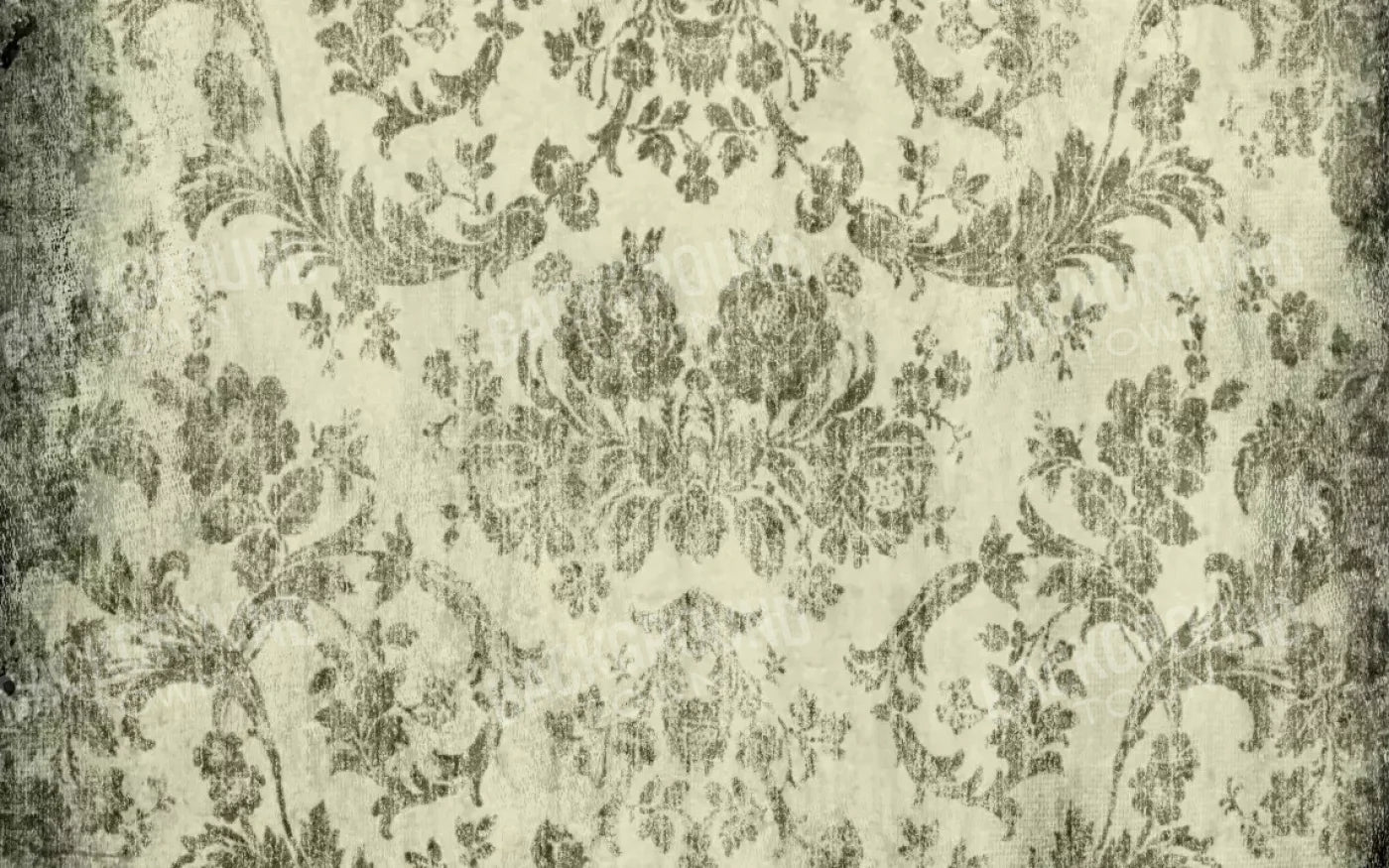 Modest 14’X9’ Ultracloth (168 X 108 Inch) Backdrop