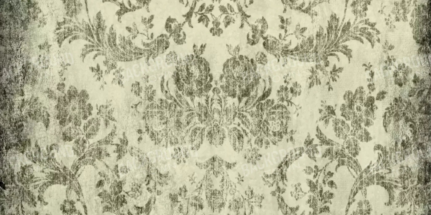 Modest 20’X10’ Ultracloth (240 X 120 Inch) Backdrop