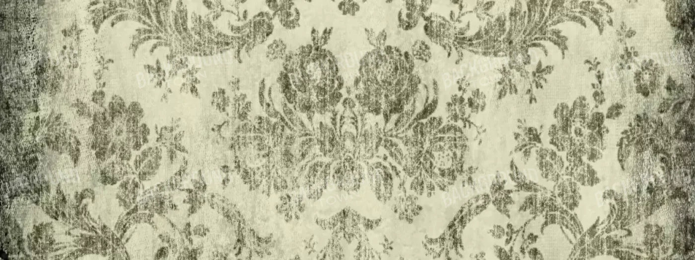 Modest 20’X8’ Ultracloth (240 X 96 Inch) Backdrop