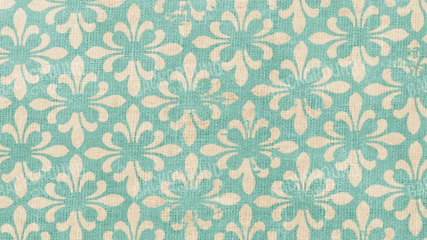 Molly 14’X8’ Ultracloth (168 X 96 Inch) Backdrop