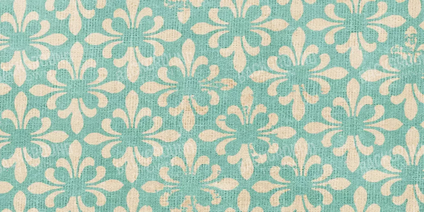 Molly 20’X10’ Ultracloth (240 X 120 Inch) Backdrop