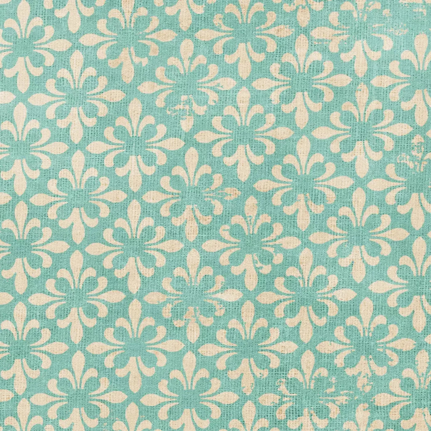 Molly Backdrop