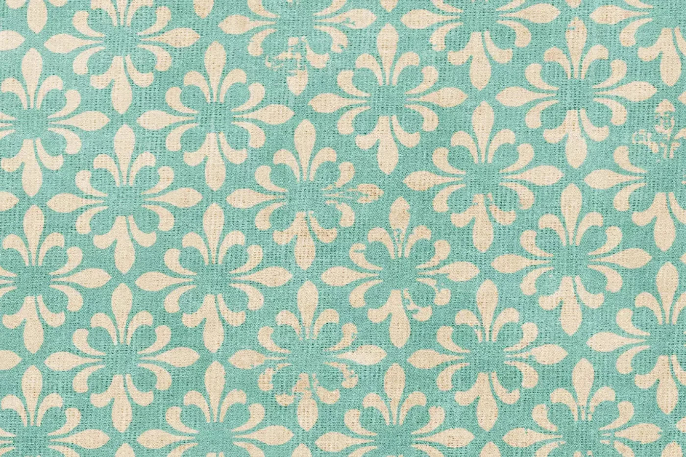 Molly Backdrop