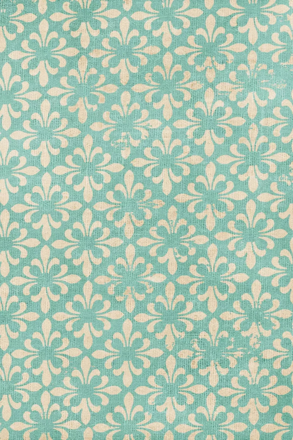 Molly Backdrop