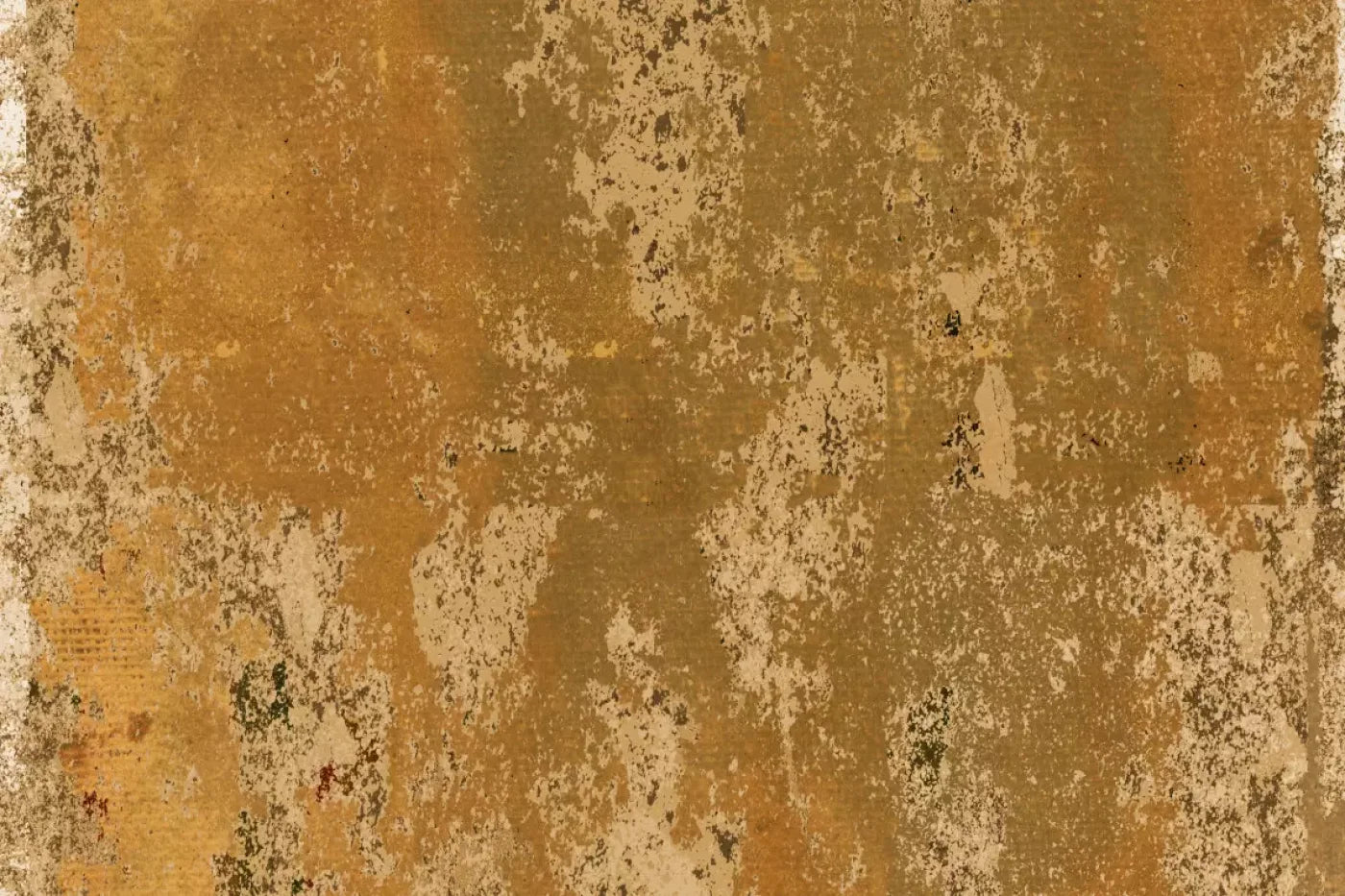 Monty Backdrop