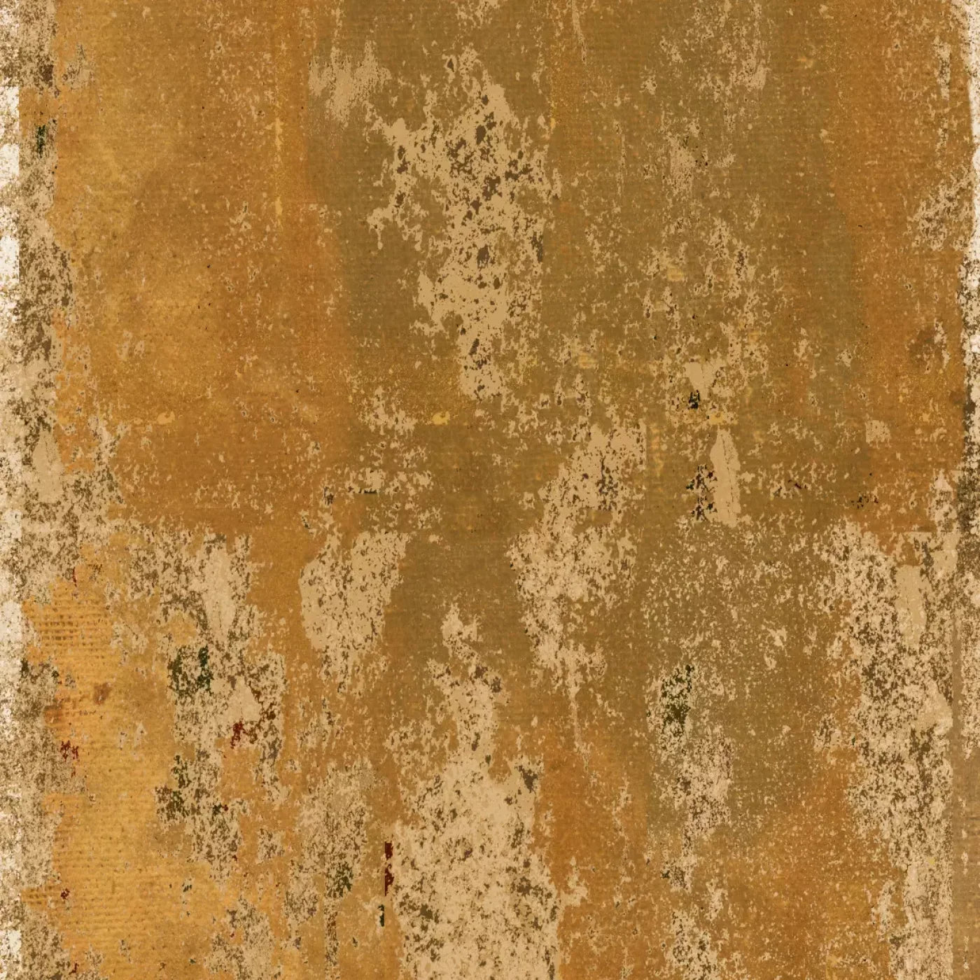 Monty Backdrop