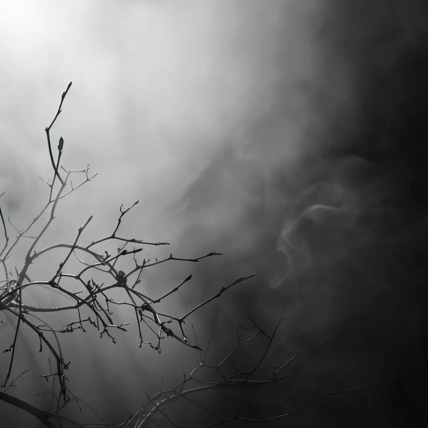 Moonlit Branch 10’X10’ Ultracloth (120 X Inch) Backdrop