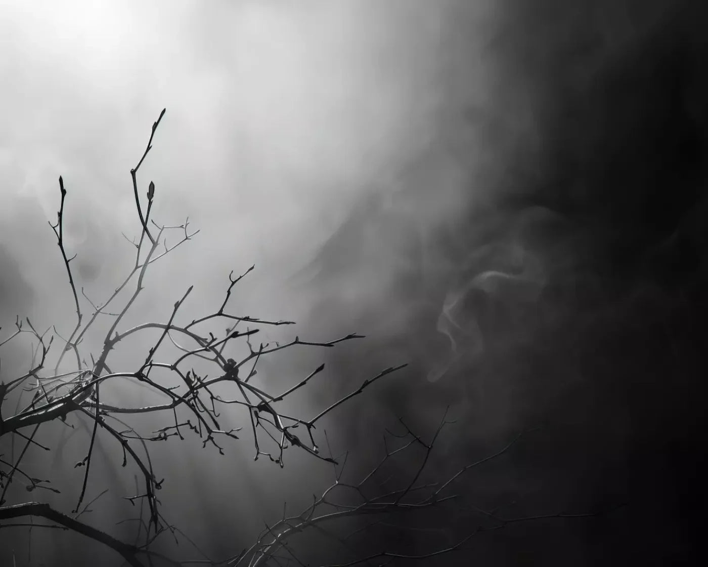 Moonlit Branch 10’X8’ Fleece (120 X 96 Inch) Backdrop