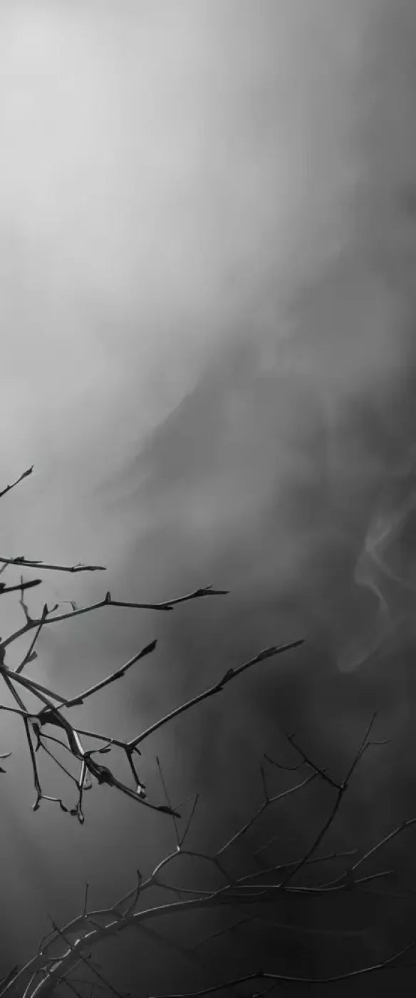 Moonlit Branch 5’X12’ Ultracloth For Westcott X-Drop (60 X 144 Inch) Backdrop