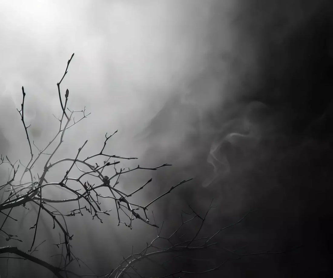 Moonlit Branch 5’X4’2 Fleece (60 X 50 Inch) Backdrop