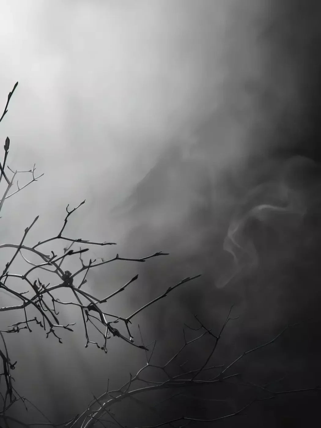 Moonlit Branch 6’X8’ Fleece (72 X 96 Inch) Backdrop