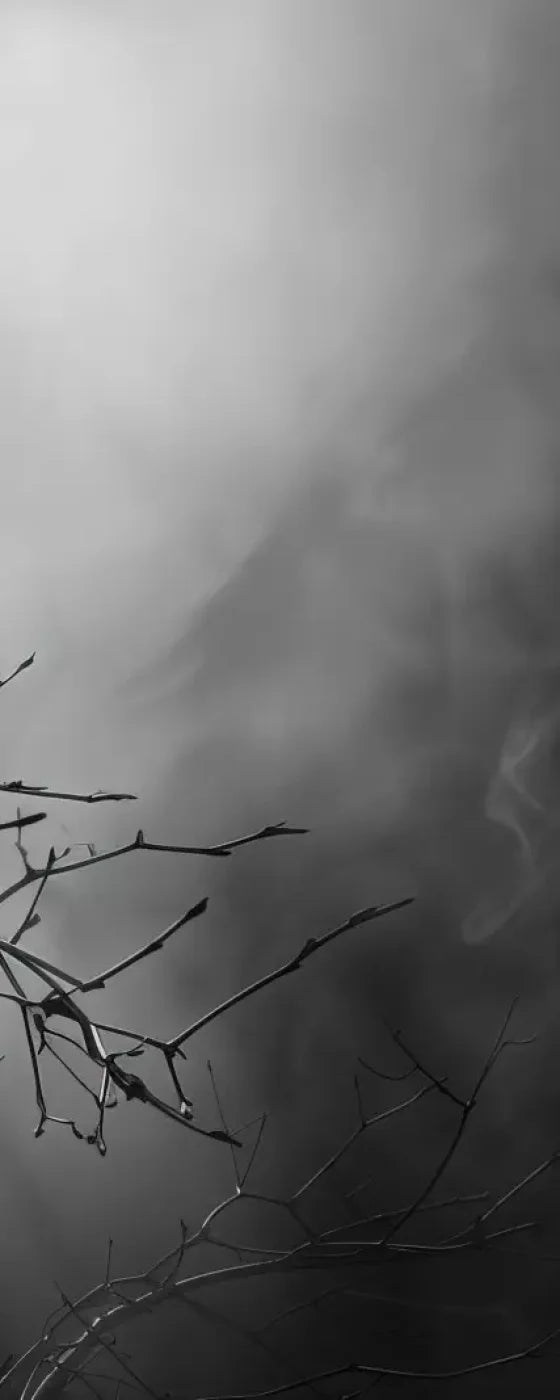 Moonlit Branch 8’X20’ Ultracloth (96 X 240 Inch) Backdrop