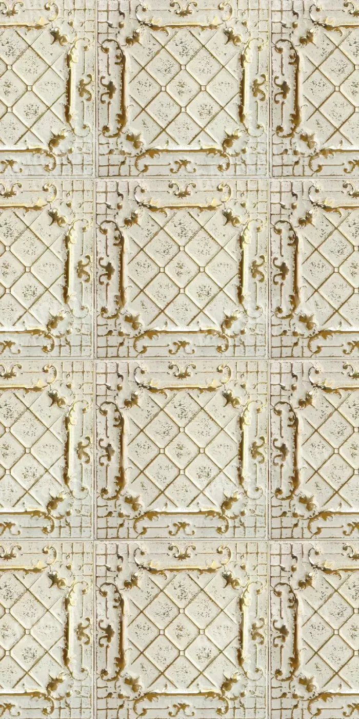 Morgan2 10X20 Ultracloth ( 120 X 240 Inch ) Backdrop