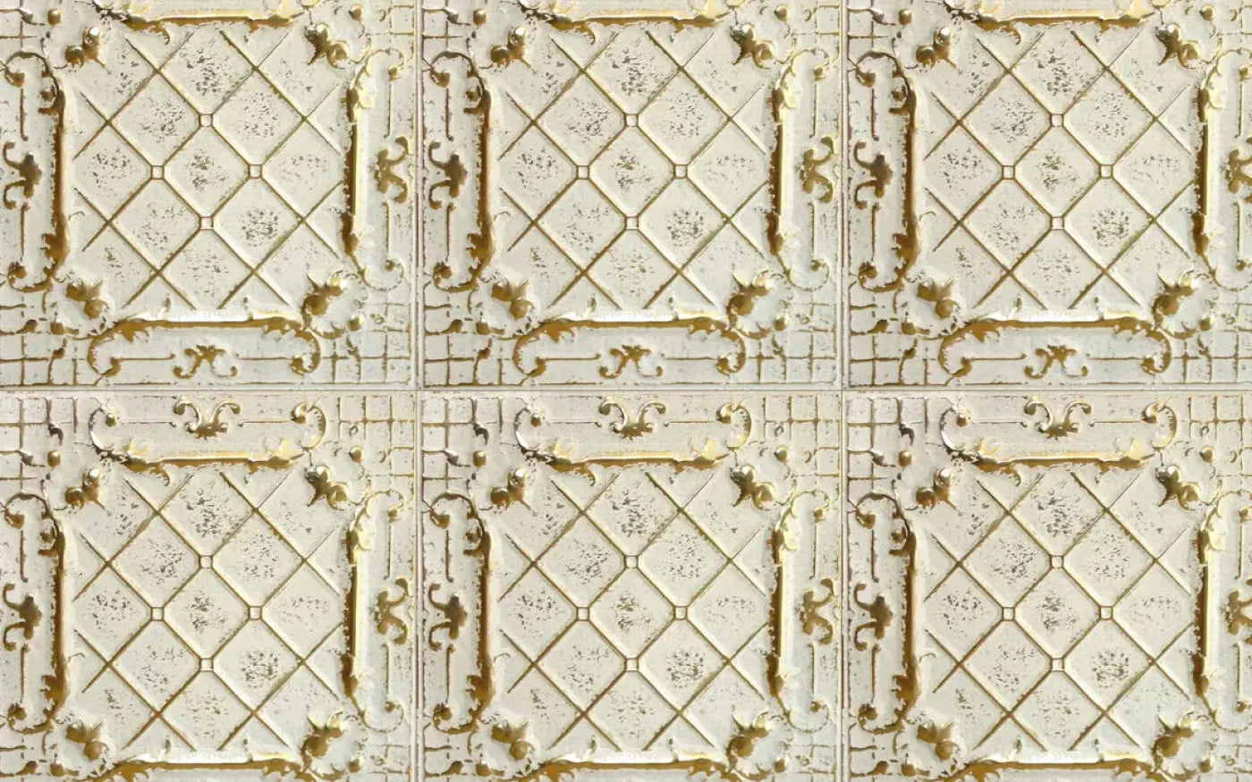 Morgan2 14X9 Ultracloth ( 168 X 108 Inch ) Backdrop